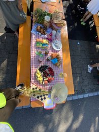 Aktivitäten und Projekte im Mettlen