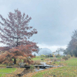 Schulseiten 05/23, Stadt-Anzeiger vom 30.11.2023