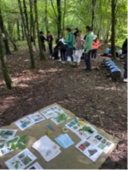 Schulleben Berichte Schuljahr 2025/2026